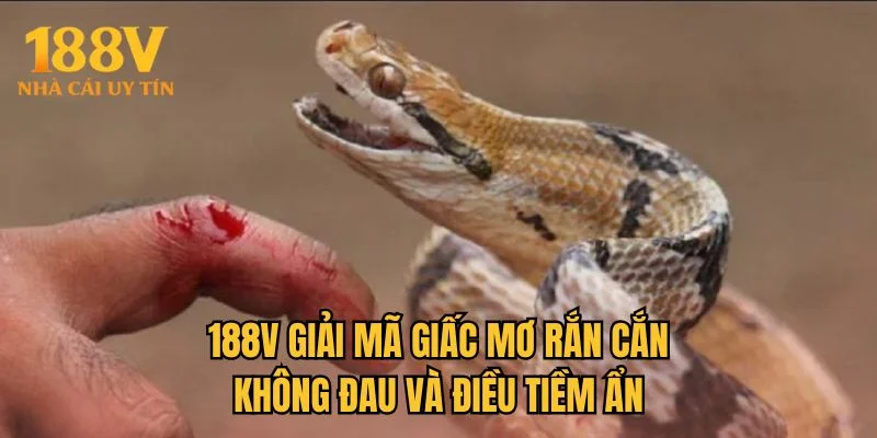 188V giải mã giấc mơ rắn cắn không đau và điều tiềm ẩn