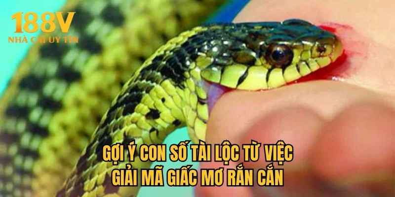 Gợi ý con số tài lộc từ việc giải mã giấc mơ rắn cắn