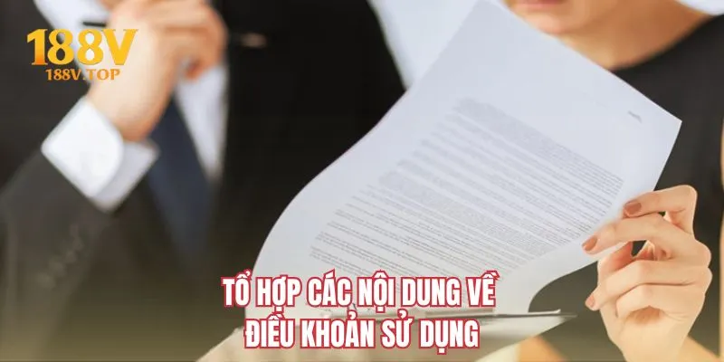 Tổ hợp các nội dung về điều khoản sử dụng